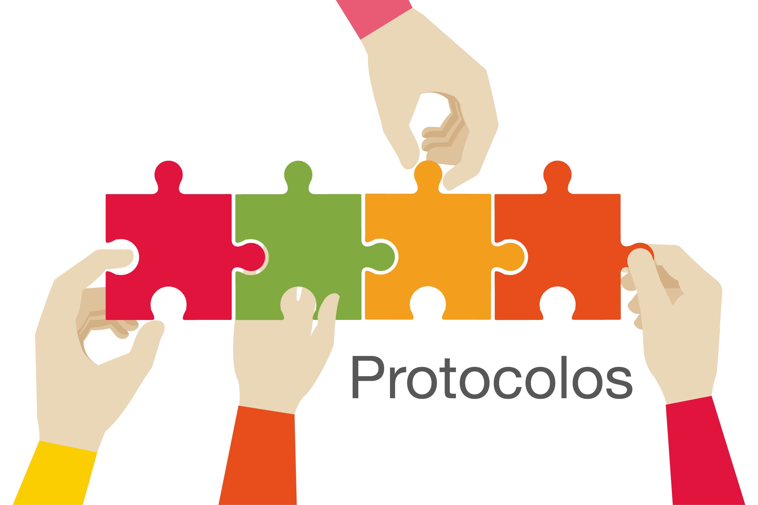 protocolos 